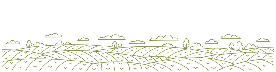 Spring field green landscape. Young shoot. Agriculture arable land. Vector line. Editable outline stroke.