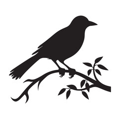 Bird Silhouette vector icon isolated on white background.