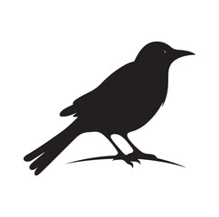 Bird Silhouette vector icon isolated on white background.
