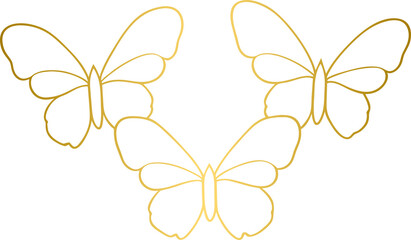 Golden fly butterflies, gold butterflies	
