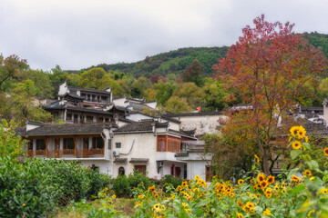 Fototapeta na wymiar Autumn in Tachuan, an ancient village in Huangshan, China