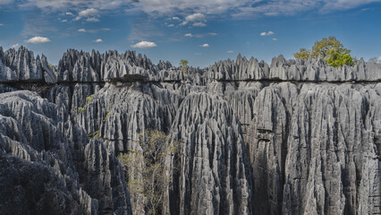Fototapeta na wymiar Unique stunning Tsingy De Bemaraha. Grey karst limestone cliffs with steep folded slopes and sharp peaks against a background of blue sky and clouds. Madagascar.