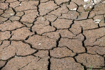 Dry cracked earth background. Global warming and climate change concept.