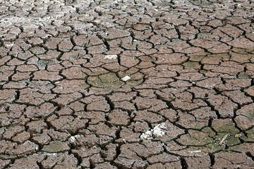 Dry cracked earth background. Global warming and climate change concept.