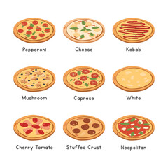 Diverse Types of Pizza Isometric Vector Set. Pepperoni, Cheese, Kebab, Mushroom, Caprese, White, Cherry Tomato, Neapolitan Pizza Clipart Cartoon Isometric Style Vector Design. Flavorful Variety