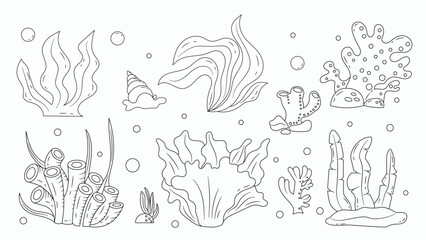 Set of Line Seaweed and Underwater Plants Doodle Hand Drawn
