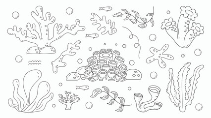 Set of Line Seaweed and Underwater Plants Doodle Hand Drawn