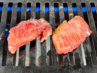meat on the grill