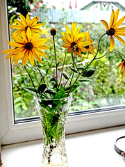 bright fresh yellow heliopsis flowers in a vase