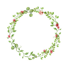 The frame is a wreath of wild herbs and flowers. watercolor illustration. isolated on a white background. for the design of postcards, invitations