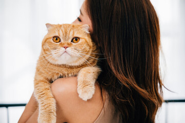 Unrecognizable woman carries her cute Scottish Fold cat, eyes reflecting happiness of their close bond. back view close-up is ideal for conveying warmth of their relationship copy space.