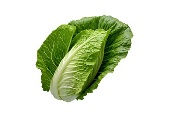Obraz premium _lettuce_leaf