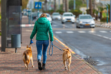 Girl with dogs walking on the sidewalk