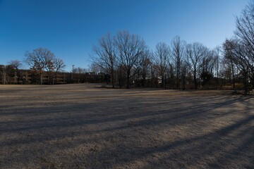 A winter park reflecting beautiful morning shadows