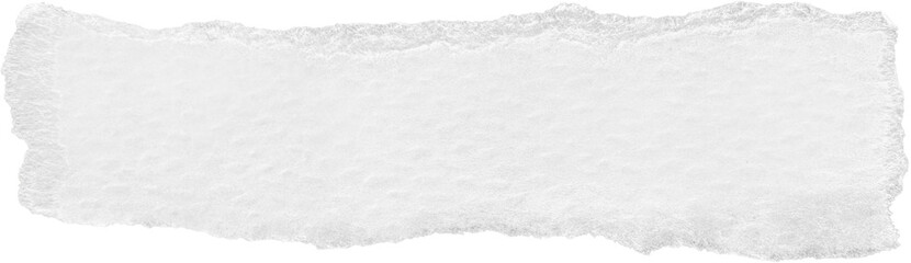 Fototapeta premium White Ripped Paper