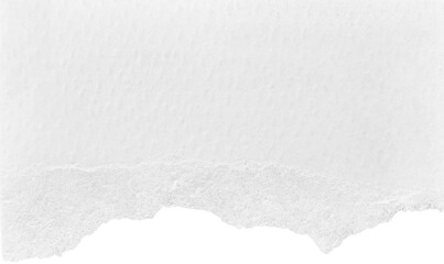 Obraz premium White Ripped Paper