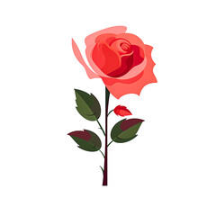 Romantic Red Rose in Full Bloom - Symbol of Love and Passion | Beautiful Flower Petals for Wedding Celebrations and, Generative Ai