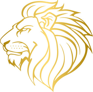 Golden lion head, gold lion	
