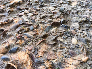 Brown sharp uneven pebbles, natural background, texture with partial focus. Small Rock. Sea background, texture, place for text
