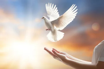Fotobehang A white pigeon flies in the sky and human hand. Dove of peace. AI generative © tiena