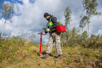 Forest worker plants tree seedlings.