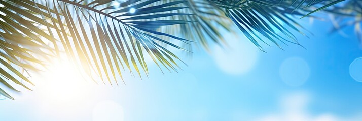 Fototapeta na wymiar Palm tree on tropical beach with blue sky and palm trees background. Copy space of summer vacation. Banner