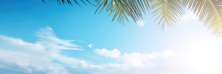 Palm tree on tropical beach with blue sky and palm trees background. Copy space of summer vacation. Banner - obrazy, fototapety, plakaty