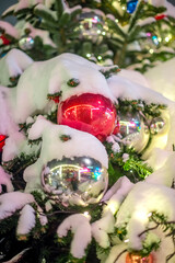 Christmas tree branches in the snow with a beautiful red ball for decoration