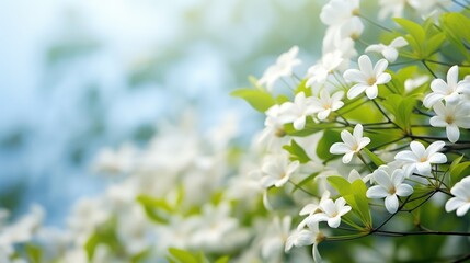 Closeup white jasmine flower on nature blur background. AI generated - obrazy, fototapety, plakaty