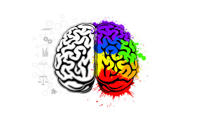 Human brain illustration for depicting creativity and logic concept.