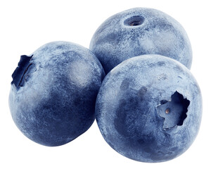 Blueberry isolated on white background, full depth of field © grey