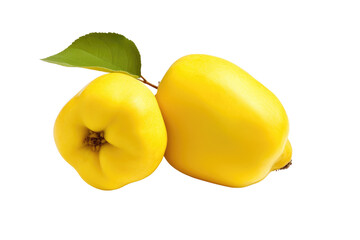 The Quince Chronicles Isolated On Transparent Background