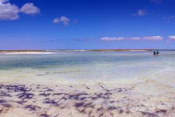 Zarzis Beach: Southern Tunisia's Coastal Beauty