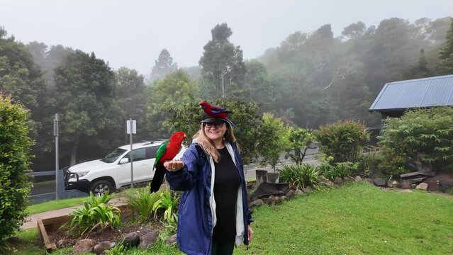 Female tourist interacts with tropical birds at a hinterland getaway on a misty fog covered morning. Wildlife interaction