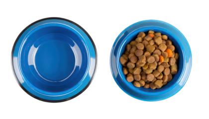  Pet food, empty and full pet bowl - isolated on transparent background