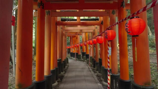 伏見稲荷、宵宮祭の千本鳥居