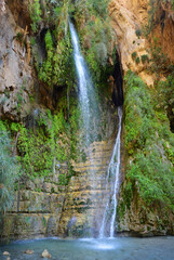 David Waterfall in rocks Ein Gedi. Israel