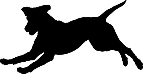 Dog run silhouette Breeds Bundle Dogs on the move. Dogs in different poses.
The dog jumps, the dog runs. The dog is sitting. The dog is lying down. The dog is playing
