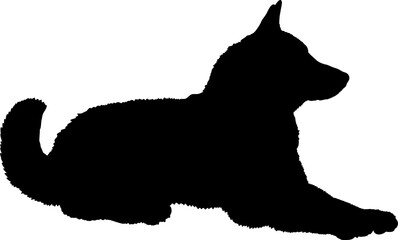 Dog  Husky lies silhouette Breeds Bundle Dogs on the move. Dogs in different poses.
The dog jumps, the dog runs. The dog is sitting. The dog is lying down. The dog is playing
