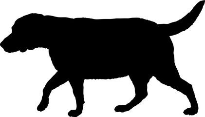 Dog Fat labrador. silhouette Breeds Bundle Dogs on the move. Dogs in different poses.
The dog jumps, the dog runs. The dog is sitting. The dog is lying down. The dog is playing
