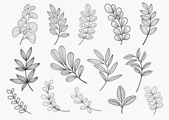 Set of leaves. Hand drawn decorative elements. Vector illustration