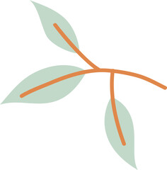 Foliage plant element vector