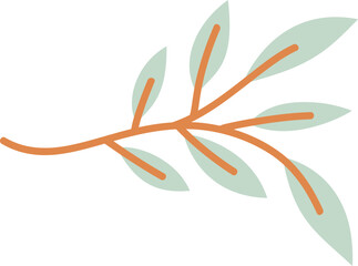 Foliage plant element vector