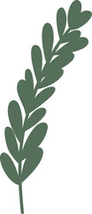 Foliage element vector