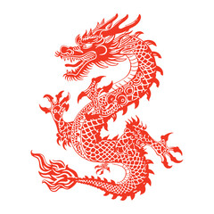 Chinese dragon on white background