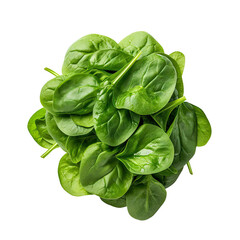  fresh green lettuce leaves isolated on transparent background