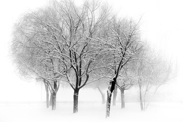 Fototapeta premium a winter landscape featuring a few snow-covered trees in the foreground