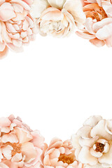 Watercolor floral frame with gentle peachy peonies and roses on a white background. Template for postcards, posters, flyers, wedding invitation. Place for the text. Hand drawn illustrations