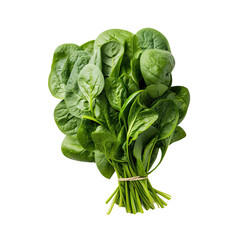 fresh green lettuce leaves isolated on transparent background