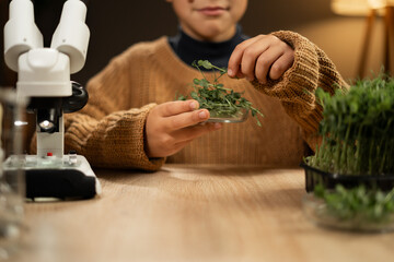 Close-up of boy prepared plants for studies under the microscope